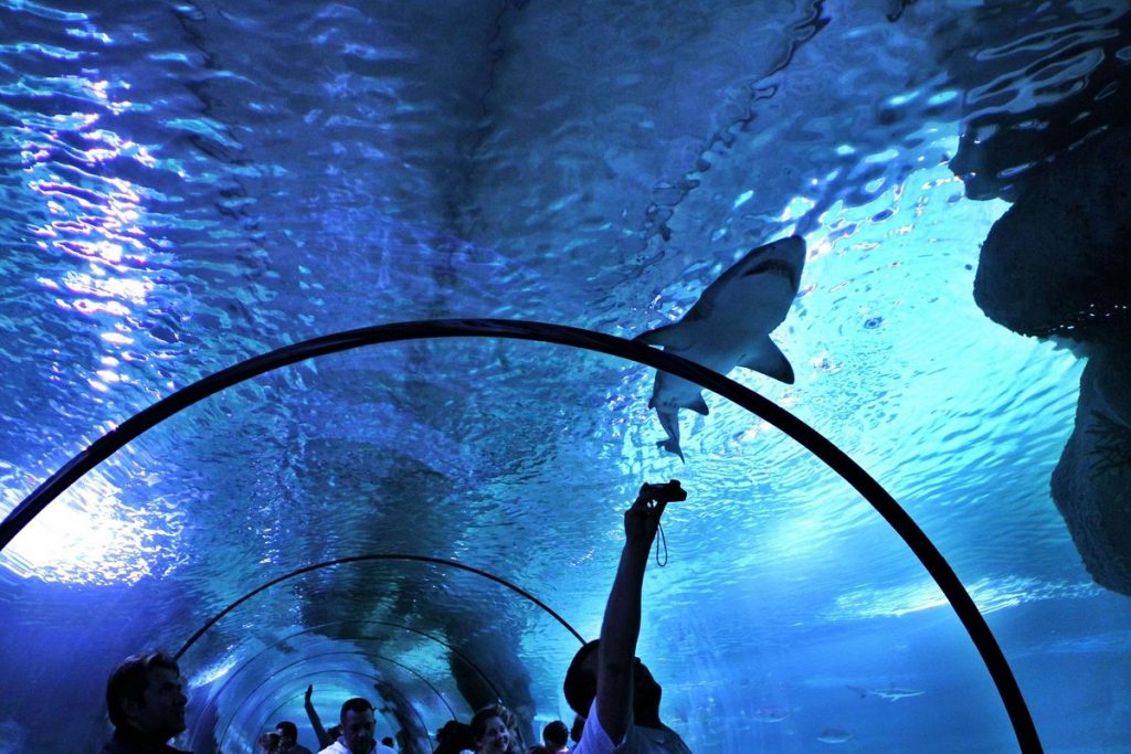 Aqua Vega Akvaryum - Ankara’da Gezilecek Yerler Listesi