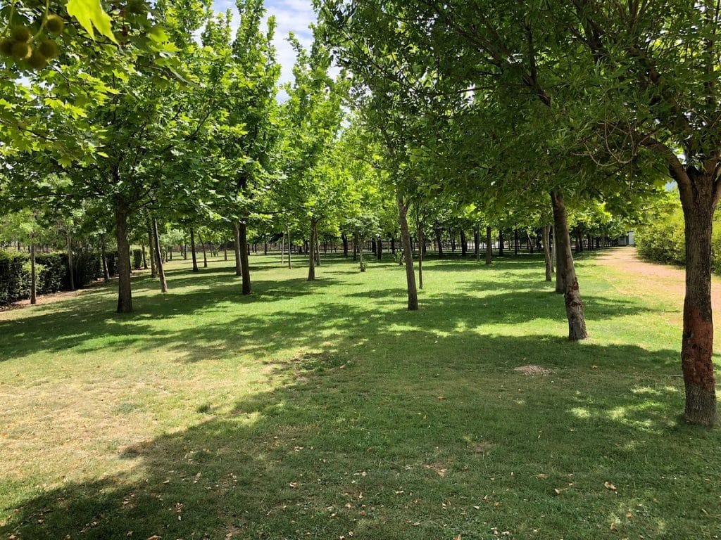 İnciraltı Kent Ormanı - İzmir’de Gezilecek Yerler Listesi