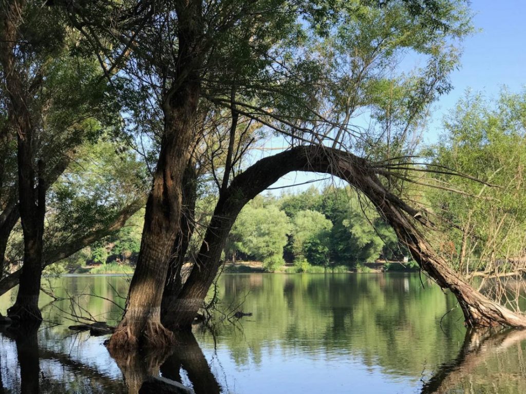 Karagöl Tabiat Parkı - İzmir’de Gezilecek Yerler Listesi