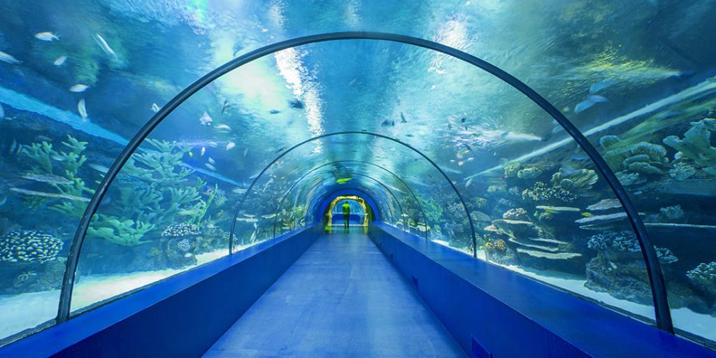 Antalya Aquarium - Antalya’da Gezilecek Yerler - En İyi 50 Yer