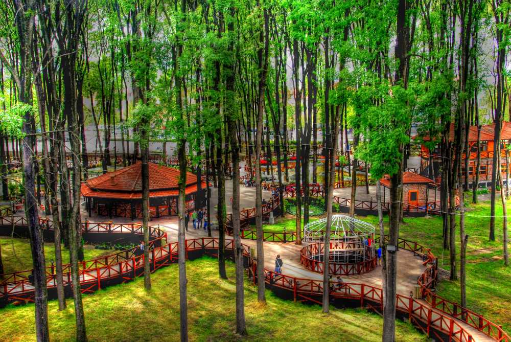 Orman Park - Sakarya'da Gezilecek Yerler Listesi - En İyi 25 Yer