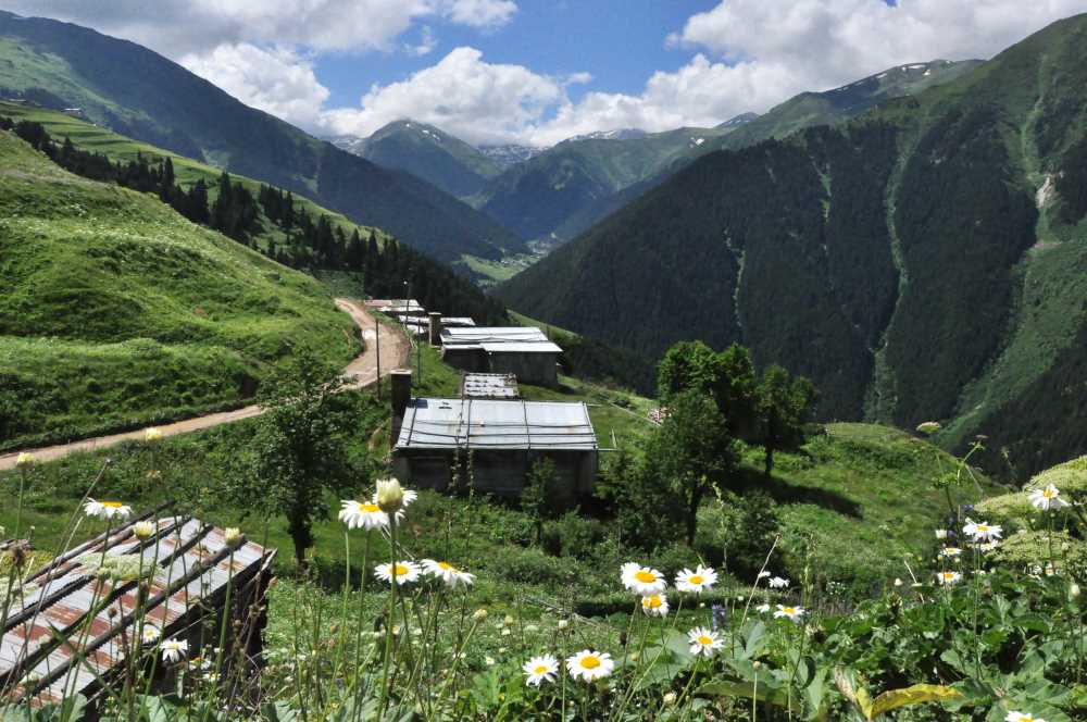 Meşeköy Yaylası - Rize'de Gezilecek Yerler Listesi - En İyi 30 Yer