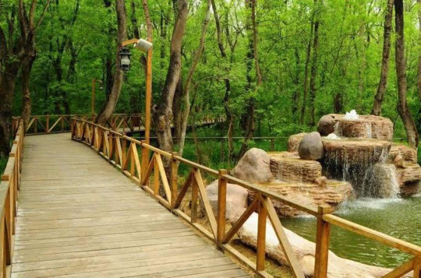 Çakırlar Korusu - Samsun'da Gezilecek Yerler Listesi - En İyi 25 Yer