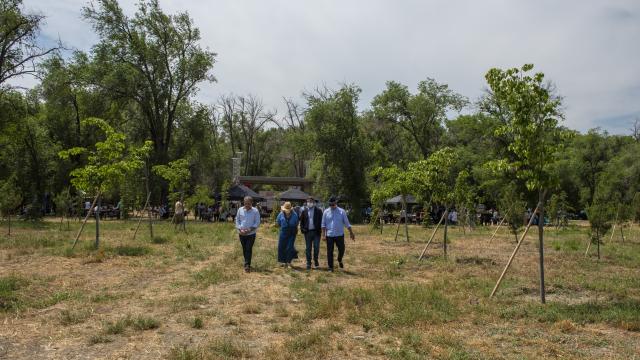 Halis Bayramoğlu Hatıra Ormanı - Bayburt'da Gezilecek Yerler Listesi - En İyi 20 Yer