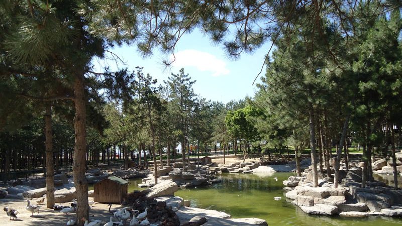 Kıranardı Kent Ormanı - Kayseri’de Gezilecek Yerler Listesi