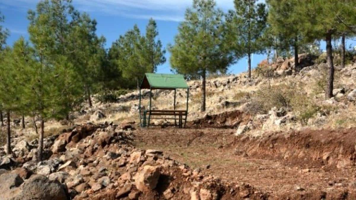 Resul Osman Mesire Alanı - Kilis'de Gezilecek Yerler Listesi - En İyi 20 Yer
