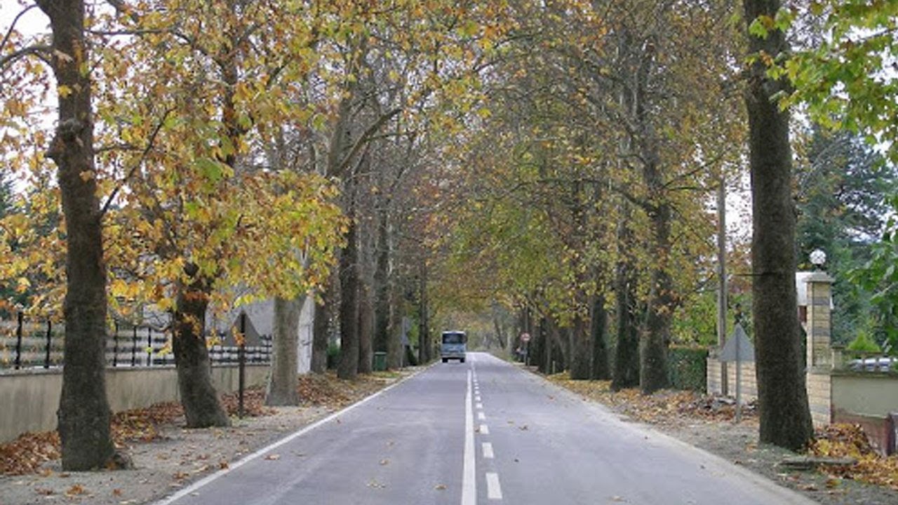 Çınarlı Yol - Yalova'da Gezilecek Yerler Listesi - En İyi 25 Yer
