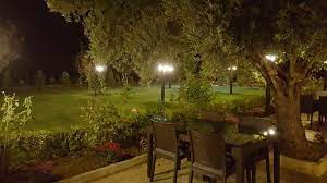 Çınar Restoran – Aydın’da Yemek Yerleri – En İyi 30 Restoran