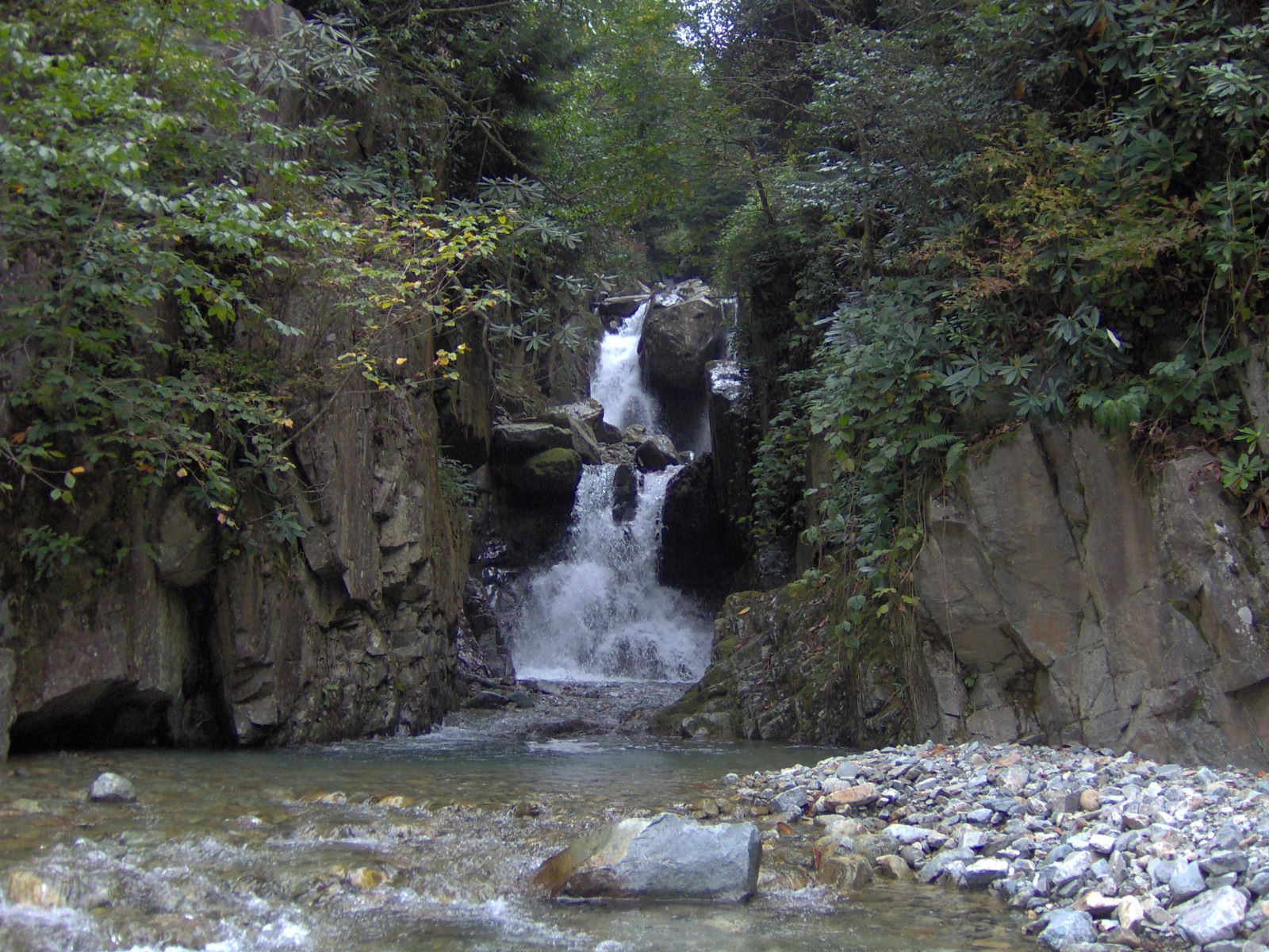 Gürcüdüzü Yaylası - Rize'de Gezilecek Yerler Listesi - En İyi 30 Yer