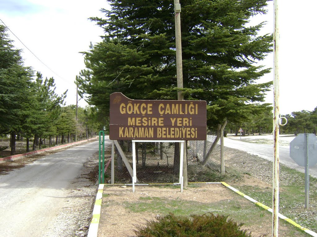 Gökçe Çamlığı Mesire Alanı - Karaman'da Gezilecek Yerler Listesi - En İyi 20 Yer