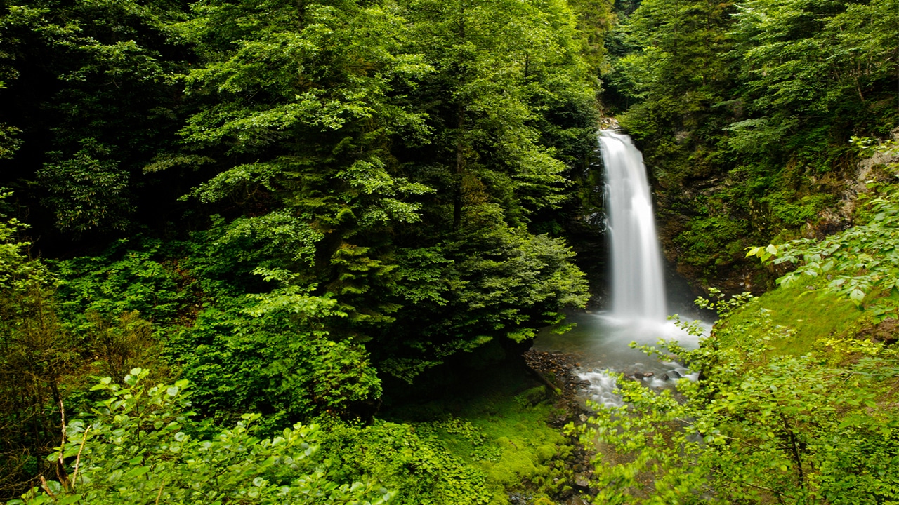 Palovit Şelalesi - Rize'de Gezilecek Yerler Listesi - En İyi 30 Yer