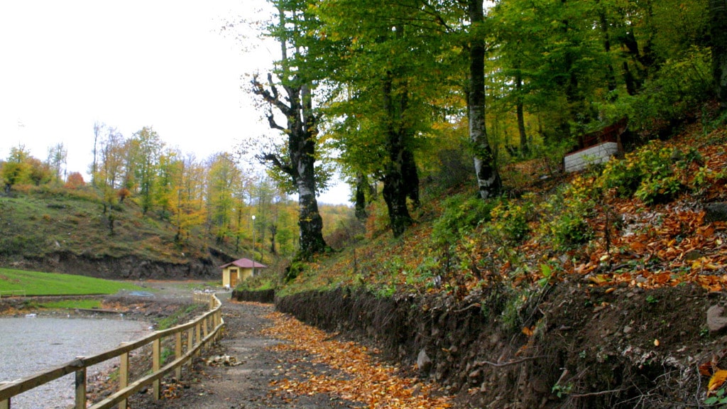 Ulugöl Tabiat Parkı - Ordu'da Gezilecek Yerler Listesi - En İyi 20 Yer