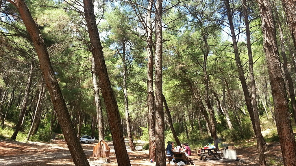 Akhisar Gölet Piknik Alanı - Manisa'da Gezilecek Yerler Listesi - En İyi 20 Yer