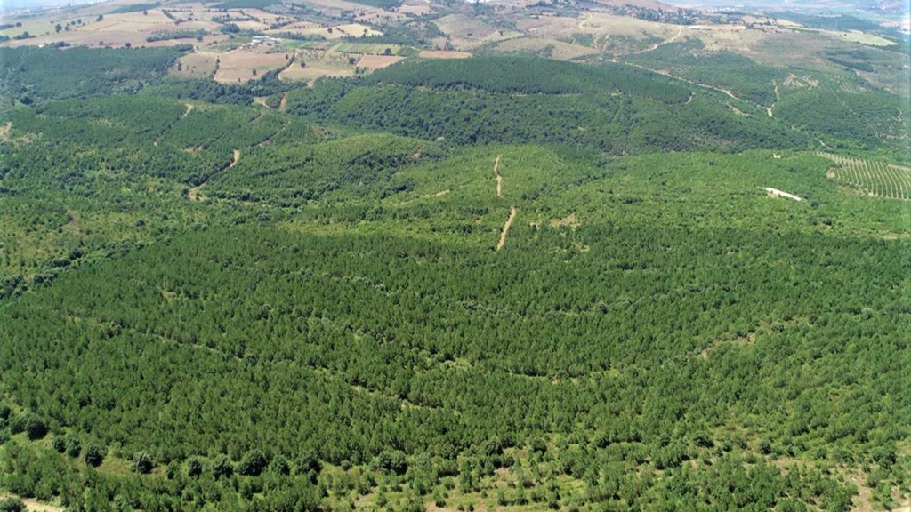 Müsiad Malatya Hatıra Ormanı - Malatya'da Gezilecek Yerler Listesi - En İyi 20 Yer