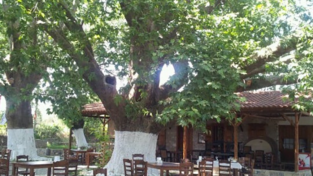 Maydanoz Süpüroğlu Restoran - Muğla Yemek Yerleri- En İyi 50 Restoran