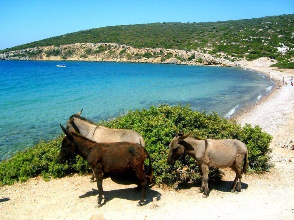 Eşek Adası – Çeşme’de Gezilecek Yerler Listesi – En İyi 30 Yer