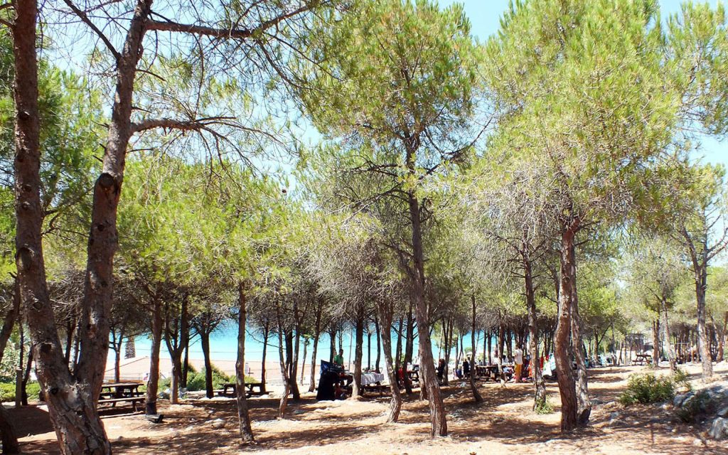 Tanay Tabiat Parkı – Çeşme’de Gezilecek Yerler Listesi – En İyi 30 Yer
