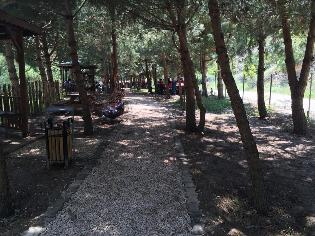 Çağlayan Park Restoran Mesire – Amasya Yemek Yerleri- En İyi 18 Restoran