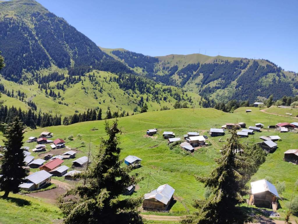 Sahara Yaylası – Artvin Gezilecek Yerler – En İyi 20 Yer