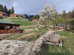 Danzot Tatil Köyü ve Restoran – Artvin Yemek Yerleri – En İyi 26 Restoran