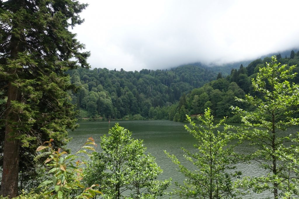 Borçka Karagöl Kamp Alanı – Artvin Gezilecek Yerler – En İyi 20 Yer